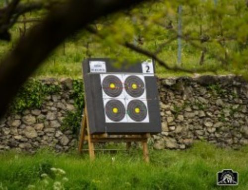 Usage du corps pour l’estimation des distances en Field et 3D