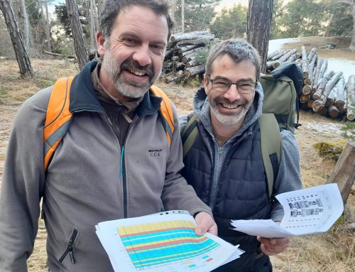 3D d&rsquo;hiver 2026 aux Agettes